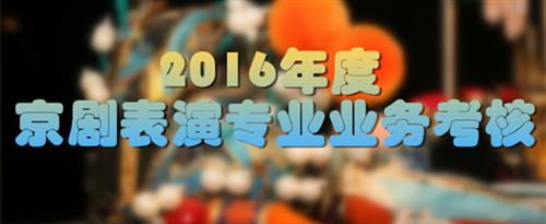 肥婆黄片国家京剧院2016年度京剧表演专业业务考...